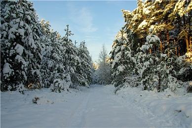 《Survivor Manager》Steam页面 年内发售